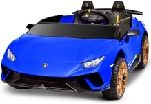 Blitzshark 24V 2 Seater Kids Ride o