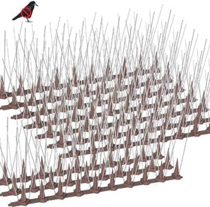 Bird Spike