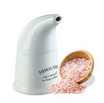 Himalayan Salt Inhaler Saltpipe Ceramic Filled Pipe with 200gm Free Himalayan Rock Salt (Pack of 1)