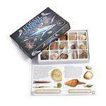 Fossil Collection Kit - Contains 15 Genuine Fossils! (Collection Kit with Study of Fossils Booklet)