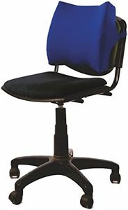 Vissco Moulded Orthopaedic, Back Support for Back Pain Relief, Posture Correction, Stability & Immobilization - Universal (Blue)