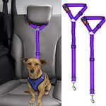 BWOGUE 2 Packs Dog Cat Safety Seat Belt Strap Car Headrest Restraint Adjustable Nylon Fabric Dog Restraints Vehicle Seatbelts Harness(Purple Elastic Bungee)