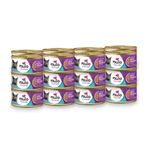 Nulo Adult & Kitten Grain Free Canned Wet Cat Food (Beef & Mackerel Recipe, 3 Oz, Case of 24)