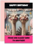 Best Friend Birthday - One Classy Bird Bestie Design - Funny Birthday Card for Women. A5 Size with Pink Envelope. Designed and Printed in the UK