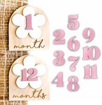 Baby Monthly Milestone Cards Monthly Milestone Discs Newborn Photography Props Baby Announcement Sign Baby Girl Wooden Boho Flower Milestone Card 1-2 Months Interchangeable Milestone (Boho Flower)