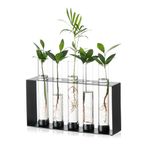 Sziqiqi Plants Propagation Station - Glass Terrarium Vase with 5 Test Tubes for Hydroponics Plants Cuttings Modern Metal Vase for Flowers Black Desktop Vases for Home Office Decor