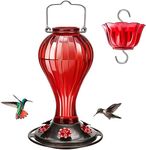 Kingsyard Glass Hummingbird Feeder 