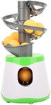 Dilwe Table Tennis Robot, Automatic Ball Launcher with 10-Ball Capacity, Portable Design, ABS Material, Green