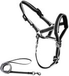 OHVEECA Dog Head Collar with Leash for Walking, No Pull Head Halter for Dogs, Easy Lead Reflective Dog Face Harness with Soft Padding, Adjustable(M, Black)