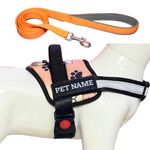 PAYTON PERRY Customized Dog Harness with Leash | Dog Harness with Name | Personalized Dog Vest Harness, No Pull, Adjustable (Medium, Pink, Recommended for 14-23KG Pets)