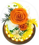 GLAMOUR BOUTIQUE Preserved Flowers Rose in Glass Dome w/Light - Long Lasting Flowers, Flower Gifts for Women for Any Occasion - Home Decor, Comes w/Thick Gift Box - Glass Rose Flowers - Orange