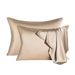 Mulberry Silk Pillowcase for Hair and Skin,Cooling Silk Pillow Case with Hidden Zipper,Allergen Proof Dual Sides Soft Breathable Smooth Silk Pillow Cover for Women. (Champagne-2Pcs, Queen(20"x 30"))