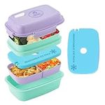 Ultimate Bento Box - Lunch Box for 