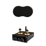TRENDIVIBE Bluetooth 4.2 Stereo Audio 2 Channel Amplifier Receiver Mini Hi-Fi