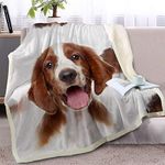 BlessLiving Cute Dog Throw Blanket Sherpa Fleece Blanket 3D Animal Print Reversible Blankets for Bed and Couch (Dachshund,Queen, 90 x 90 Inches)