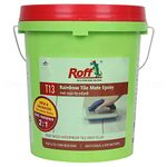 Roff Pidilite Rainbow Tile Epoxy Grout (Ivory Colour) (5 kg)