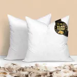 zibroges 26x26 Euro Pillow Inserts Set of 2 - Down Feather Throw Pillows Cushions for Couch, Bed, and Home Decor, Cotton Cover European Pillows Firm and Support, White