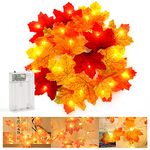 SULOLI Maple Leaf Lights,3M 20 LED Autumn Lights Autumn Leaf Lights Fall Decoration Lights for Autumn Decorations Halloween Decorations