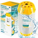 W28165 Mineral Cartridge Replacement Parts Kit Fit for Nature2 A30 Replacement Cartridge, for All Nature 2 Above Ground A Vessels, for Pools 5K to 30K Gallons (Except Limited),Replace W28166, W26765