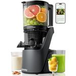 Canoly Cold Press Juicer, 6" Wide Feeding Chute, 3-IN-1 Strainers (Juice & Sorbet & Nut Milk), 300W AC Motor Juicer Machine, Supports Whole Fruits & Vegetables, Self-Precut System, Cosmic Gray