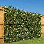 CHRISTOW Expanding Artificial Trellis Fake Leaf Yellow Flower Hedge Garden Privacy Screening (1m x 2m)