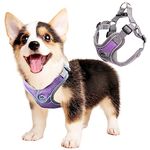 ORYEDA Dog Harness No Pull for Small Size, Easy Walk Adjustable Pet Harness, No-Choke Soft Padded Dog Vest, Reflective Breathable Pet Oxford Cloth with 2 Metal Leash Clips