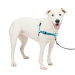 Petsafe EWH-D-HC-M/L-OCN Deluxe Easy Walk Harness, Medium/Large, Ocean Blue