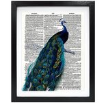 Susie Arts 8X10 Unframed Peafowl Peacock Upcycled Vintage Dictionary Art Print Book Art Print Home Decor Wall Art V129