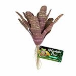 Zoo Med Naturalistic Flora Chestnut Bromeliad for Terrarium and Paludarium