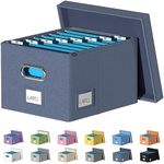 DYWMM File Organizer Collapsible St