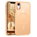 BENTOBEN Case for iPhone XR Case, [Compatible with MagSafe] Slim Translucent Matte Magnetic Shockproof Protective Anti Slip Women Men Cover Case for iPhone XR 6.1", Light Gold