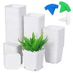 Moendergo 60 PCS 2.6" Plant Nursery Pots Plastic Square Plant Seedling Pot Planter Nursery Transplant Pot Containers with Plates and Plant Labels for Succulent, Snake Plant, Aloe Vera (White)