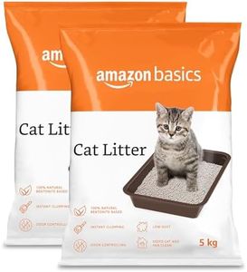 Amazon Bas
