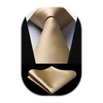 Enlision 3.3" Champagne Gold Tie and Pocket Square Set Wedding Party Formal Silk Necktie for Men