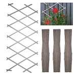 DIVCHI Wooden Trellis Expandable Garden Wall Trellis For Climbing Plants Decoration & Plants Partitioning (Pack Of 3) (180cm x 60cm) (Grey)