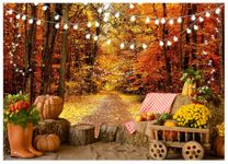 WOLADA 7x5FT Fall Thanksgiving Day Photography Backdrop Autumn Natural Landscape Photo Backdrop Forest Trail Backdrop Red Maple Leaf Deciduous Forest Backdrop Baby Shower Background 12460