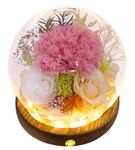 Valley of Rain & Forest Long-Lasting Real Flowers, Unique Floral Gift for You to Send Love for All Occasions, for Indoor Decoration (Pink Carnation, White Rose, Yellow-Champagne Rose)