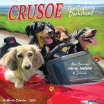 Crusoe the Celebrity Dachshund 2025 12" x 12" Wall Calendar