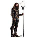Advanced Graphics 2473 81 x 33 in. Aquaman - Justice League Cardboard Standup