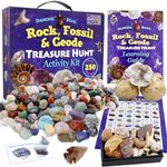 DANCING BEAR Rock & Mineral Collection Activity Kit (200+Pcs) with Geodes, Shark Teeth Fossils, Arrowheads, Crystals, Gemstones for Kids, Rock Book, Treasure Hunt ID Sheet, STEM Education, Made in USA