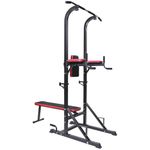 BodyTrain Power Tower and Weight Bench