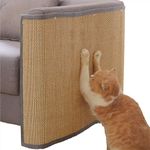 Cat Scratc