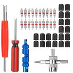 FRIUSATE 44 Pcs Tyre Valve Core Removal Tool Tyre Valve Repair for Bike Car 20 Pcs Valve Cores 20 Pcs Valve Caps 4-Way Valve Tool Dual & Single Head Valve Core Remover