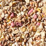Leagrams Premium No Grow No Mess Wild Bird Seed Mix (25.1kg)