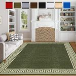renoazul® Rugs for Living Room with