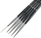 Winstonia 5 pcs Nail Art Brushes Se