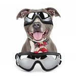 Dog Sunglasses