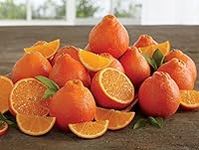 Rare Florida Honeybell Oranges Hone
