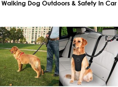 Adjustable Dog Car Seat Belt – Black Pet Safety Harness