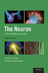 The Neuron: Cell and Molecular Biology